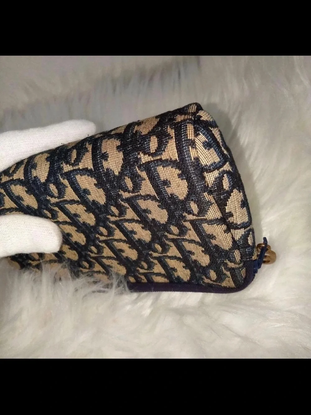 Dior classic monogram